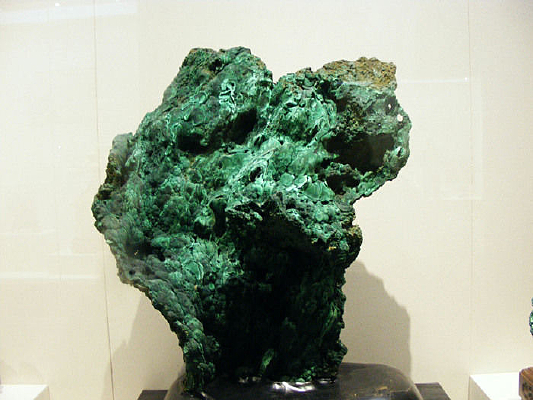 ��ѩ���ɵ��