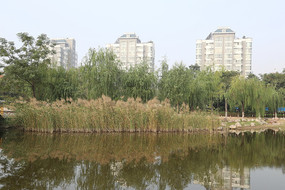 ԰���е�«έ��