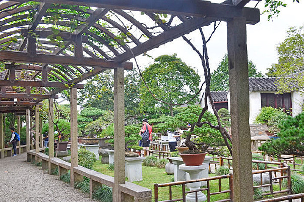 ������ľ԰������ͼ