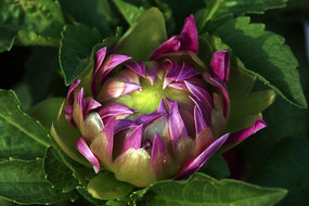 ����������