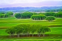 ���Ի�����ɫ���֡�