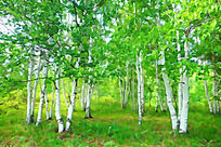 ����ˮ�ʻ��������֡�