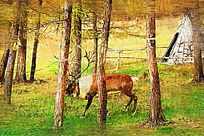 �����ͻ�������ѱ¹��