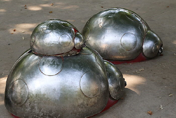 �ֵ�����ư��ĸ��