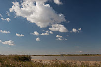 �ƺ��Ͽհ���ƮƮ