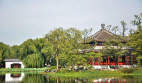 ��������ˮ�е�Ӱ