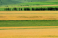 ����ũ��