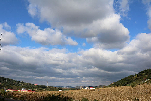 ɽ����ũ����