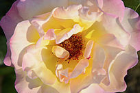 �¼�����