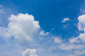 տ������հ���Ʈ