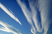 ��翵İ���