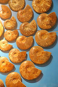 ��ʯ����ǽ