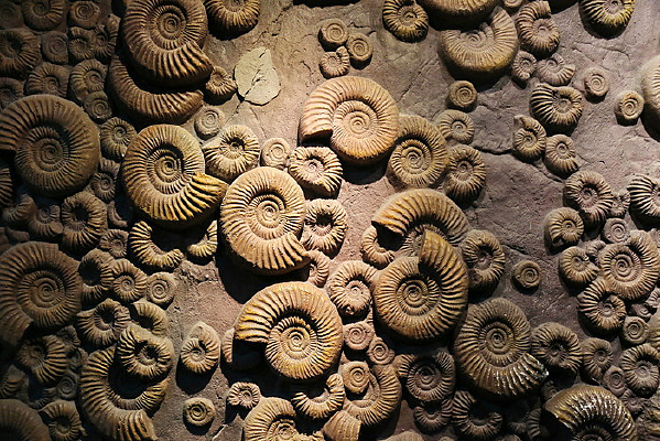 ��ʯ��ʯ����ǽ