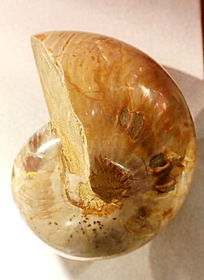 �����ݻ�ʯ��ʯ