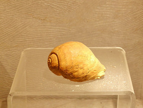 �����������ݻ�ʯ