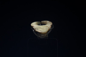 �̳�����ţ������