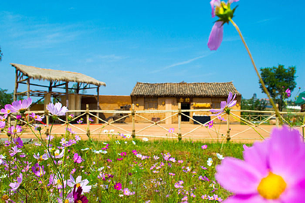 ������Դ