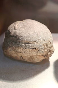 ��������������Բ�ο�����