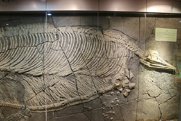 ��������������ʯ