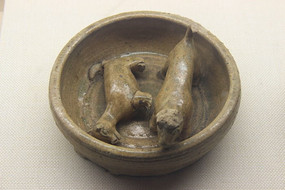 ������ɹ�Ȧ