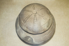 һ����ɫ���չ�