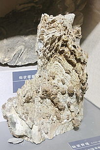 ����������ʯ