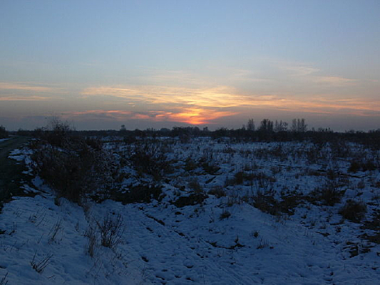 ������ϼ