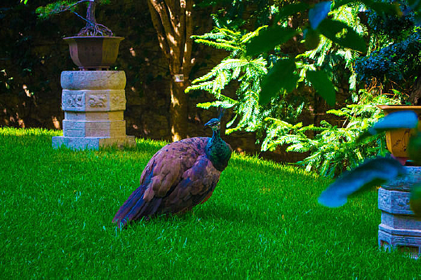 ������ȸ