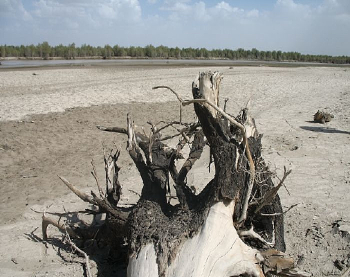 �ӱߵ�����