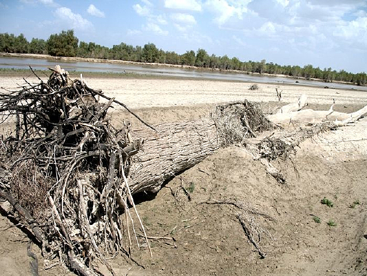 �ӵ���Ŀ���