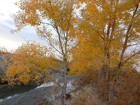 ���ĺ���