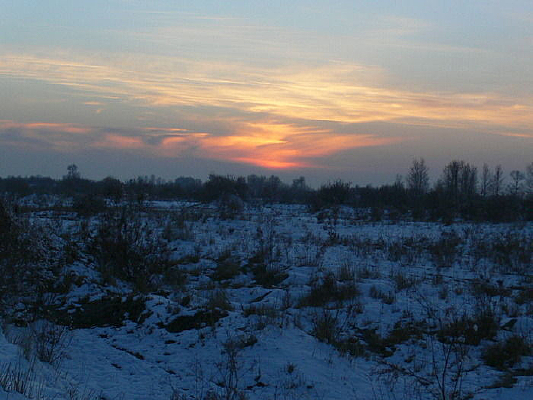 ��������ϼ