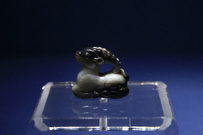 �ϱ���������