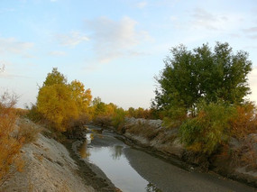 ���ߺ���