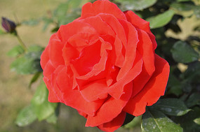 ʢ���ĺ��¼�