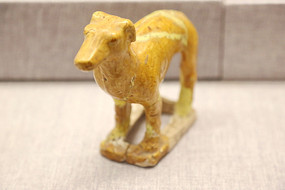 �ƴ����Թ�