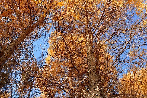 �½�����