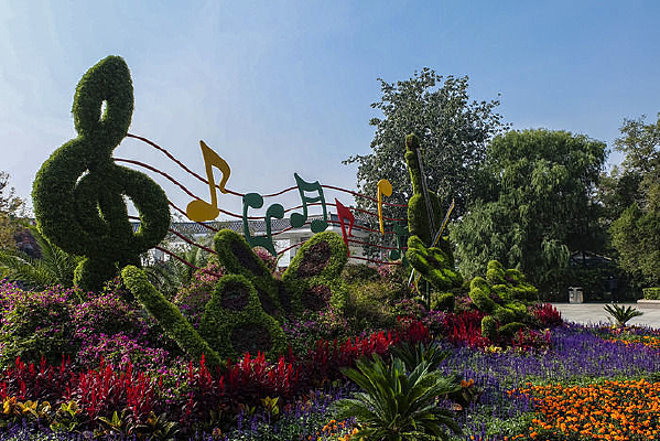 ֲ������