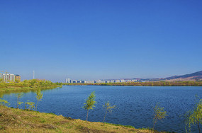 ��ɽ��ˮ������ľ����Ⱥ