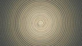 ز
