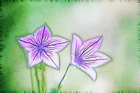 ���Ի����۹�����