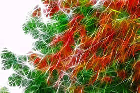 ���Ի�����Ҷ��