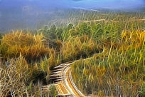 ���Ի���ɽ��֮·��