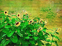 ���Ի������տ���