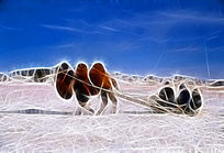 ���Ի���ѩԭ�������硷