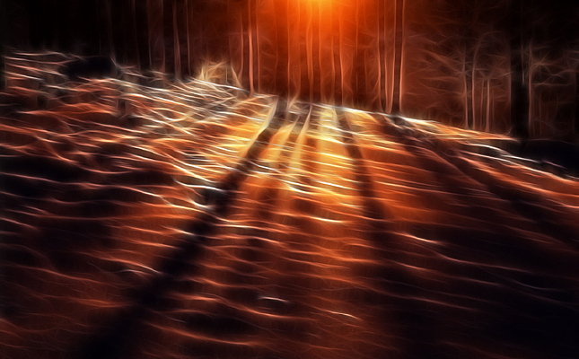 ���Ի���ѩԭ��Ӱ��