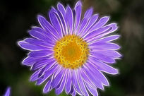 ���Ի������ҡ�