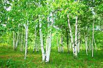 ����ˮ�ʻ��������֡�