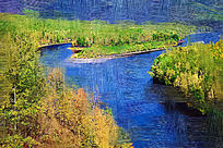 �����ͻ���ɭ�ֺӡ�