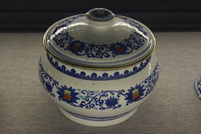 ���ʲ�֦���˱��Ƹǹ�